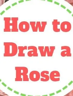 How to Draw a Rose
