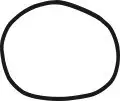how to draw a turkey.step 07