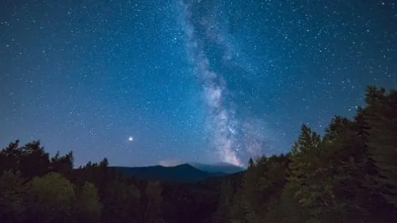 25 Best Night Scenery Drawing Ideas (3)