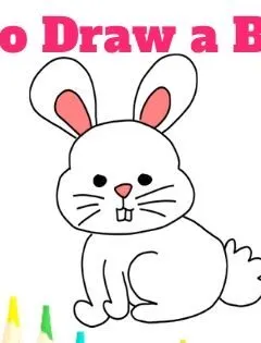 How to Draw a Bunny
