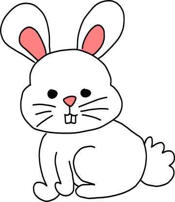 bunny drawing