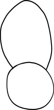 How to Draw a Spider step