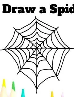 How to Draw a Spiderweb