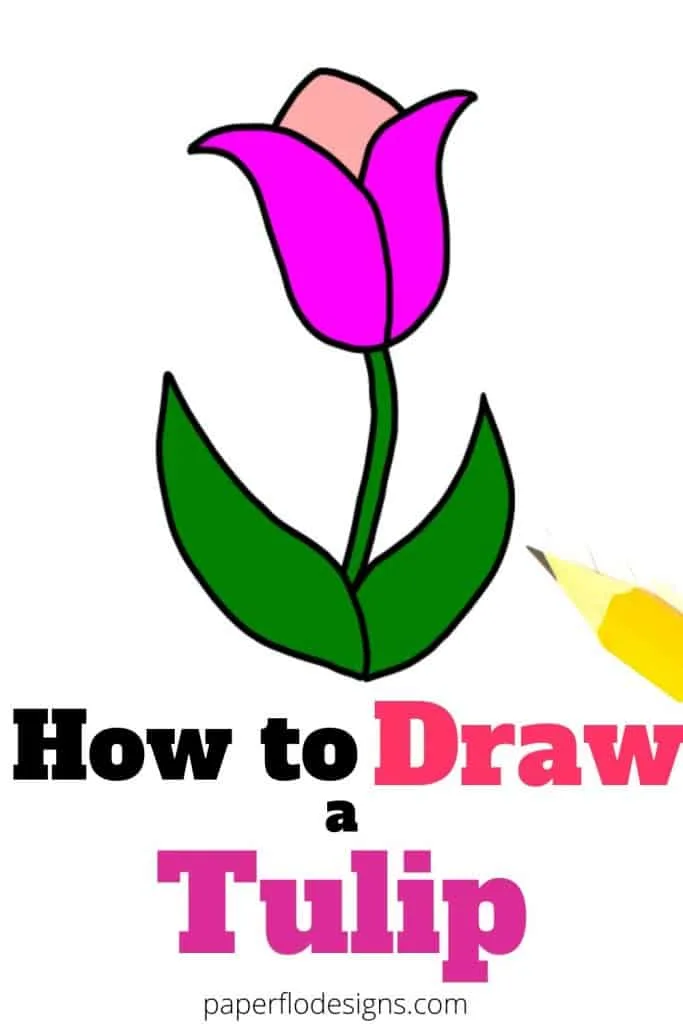 How to Draw a Tulip