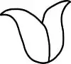 how to draw a tulip step 2
