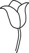 How to Draw a Tulip step 4