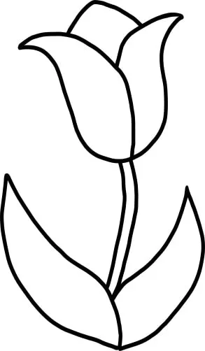 How to Draw a Tulip