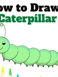 how to draw a caterpillar