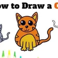 how to draw a cat