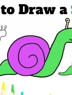 How to Draw a Snail