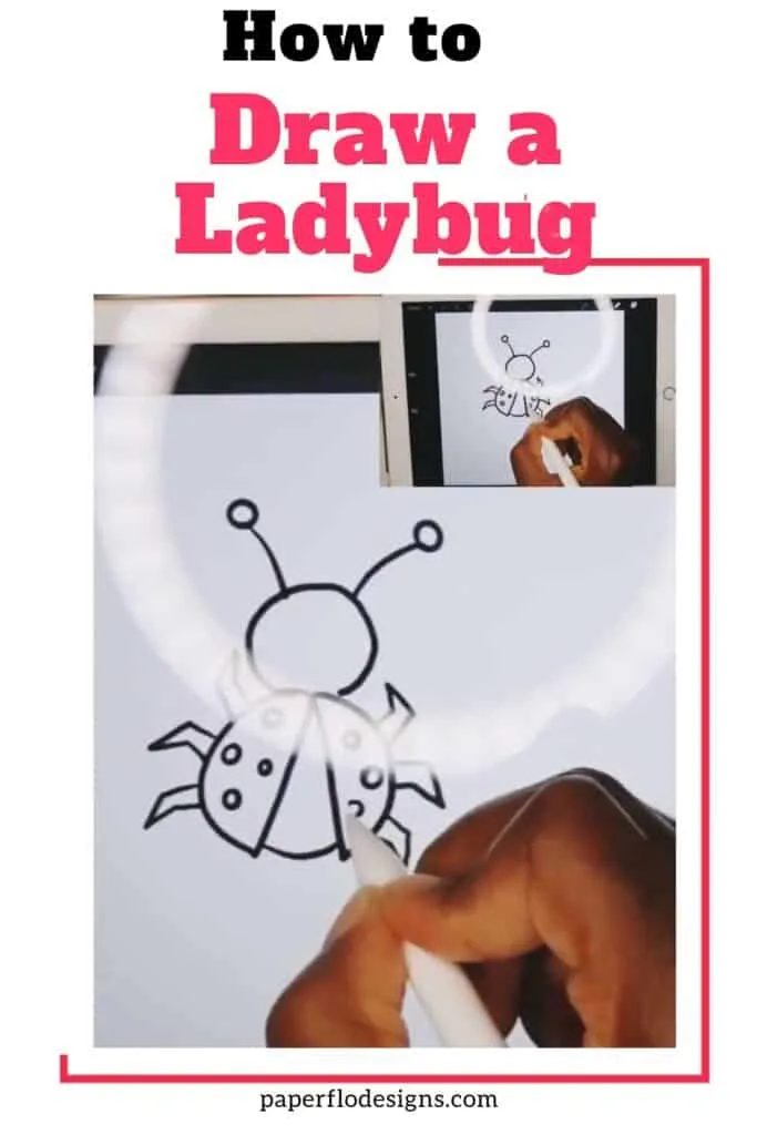 how to draw a ladybug
