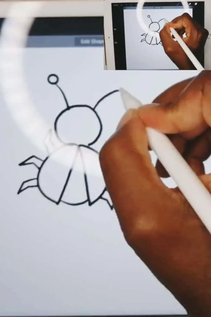 how to draw a ladybug