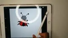 how to draw a ladybug