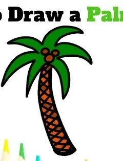 How to Draw a Palm Tree. cover
