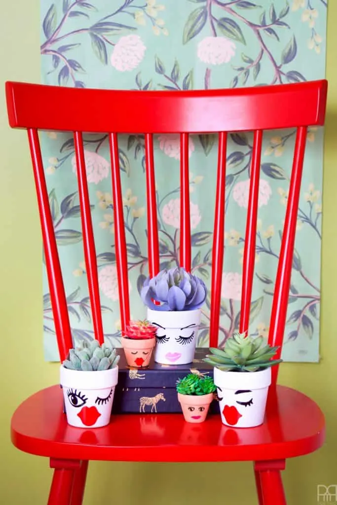 Planters-Vinyl-Face-Succulent