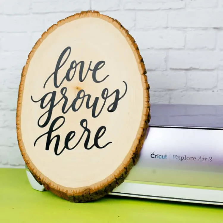 wood slice with words love grows here