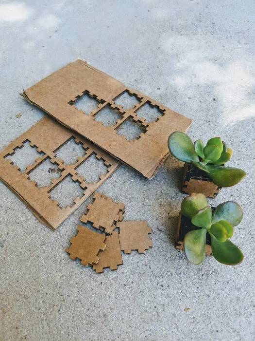 mini succulent pots made with glowforge