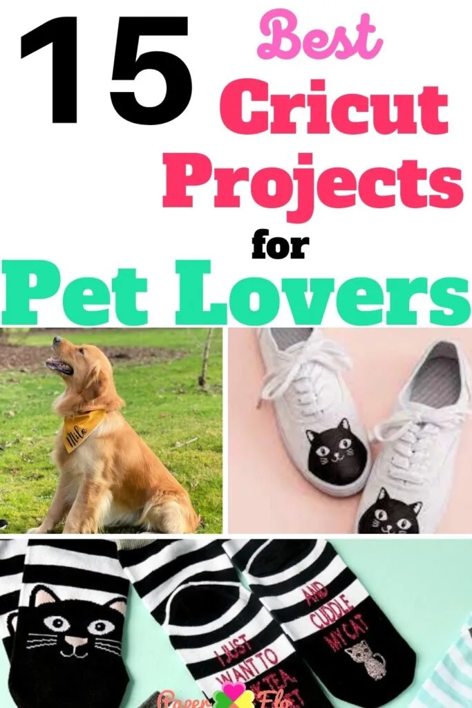 15 Best Cricut Projects for Pet Lovers