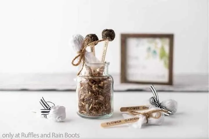 seed pops for gardens