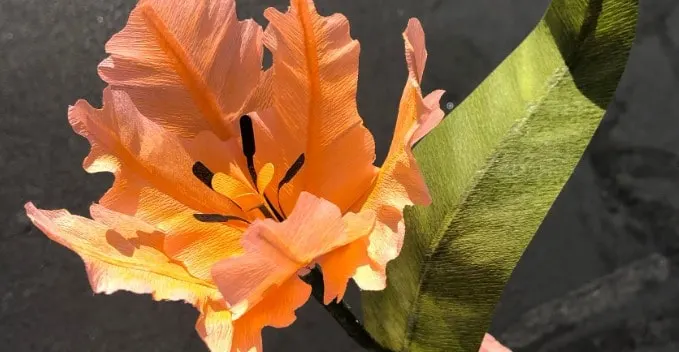crepe paper tulip