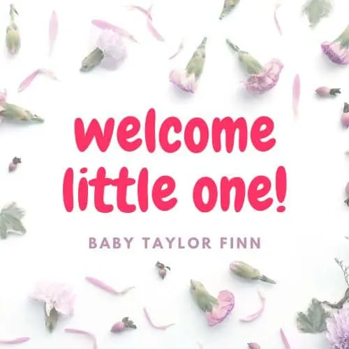 flower buds on a flat surface. The backdrop of baby shower invitation made in canva with two different font pairings