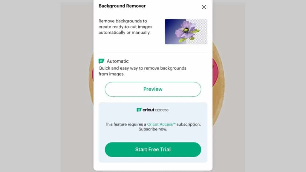 pop-up window for Background Remover feature in Design Space.
