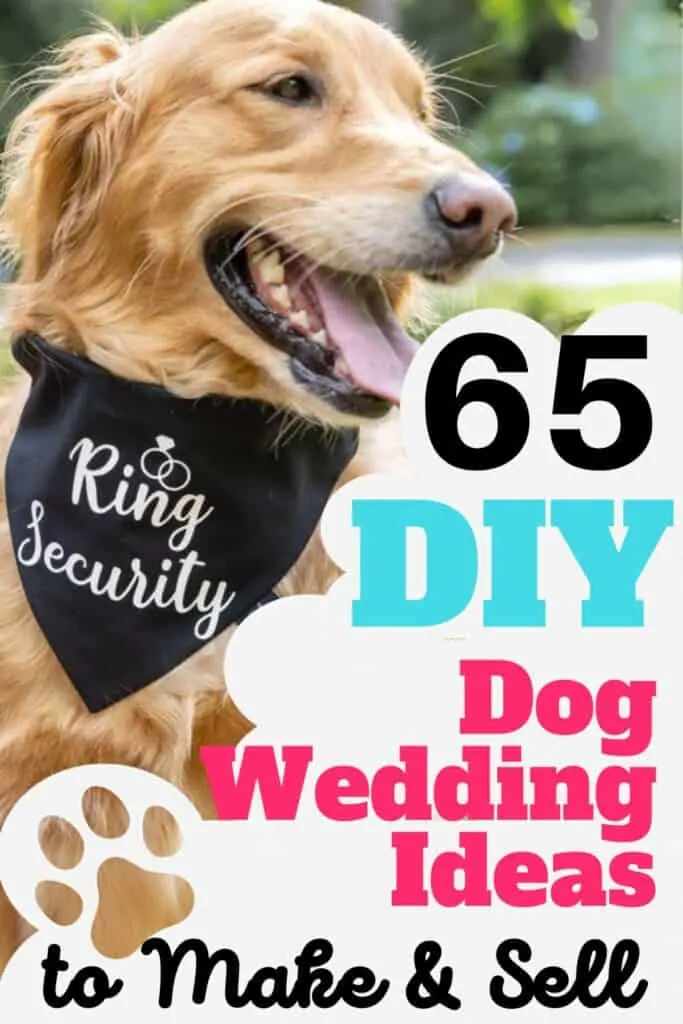 A labrador wearing a bandana with the words "Ring Security" for a wedding.
