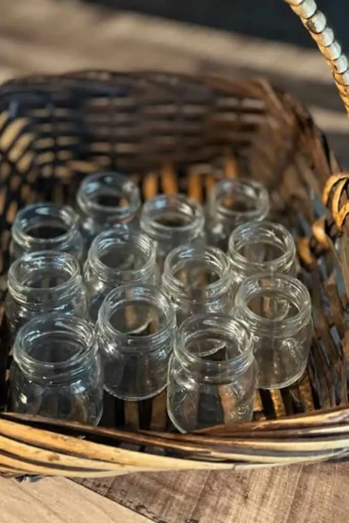 Mason Jar Shot Glasses