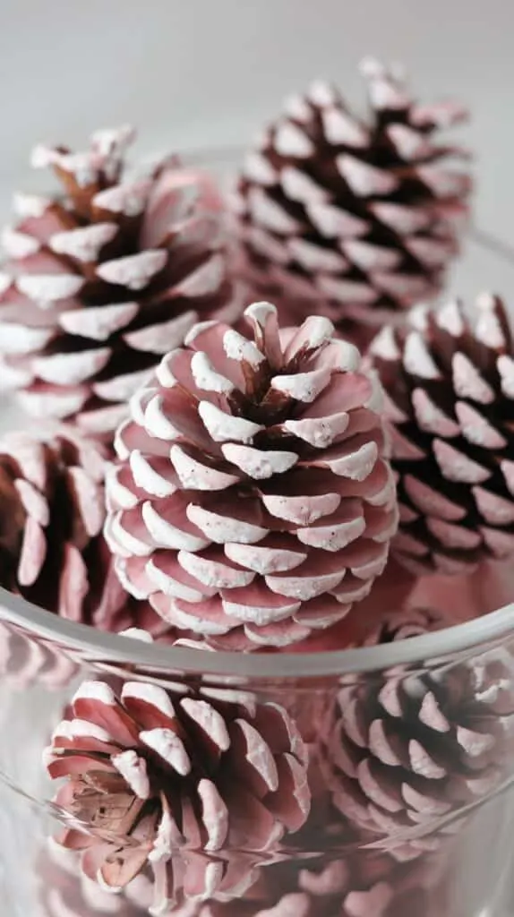 A clear glass container filled with painted pinecones. The pinecones are coated in a soft pink color with subtle speckles of white, giving them a frosted, snow-kissed appearance. The texture of the pinecones is highlighted by the paint, making them look decorative and festive. The close-up shot emphasizes their rustic charm and makes them ideal for use in holiday crafts or as part of cozy Christmas decorations. The overall look is delicate and elegant, perfect for adding a unique touch to a pink Christmas theme or winter-inspired home d&eacute;cor.